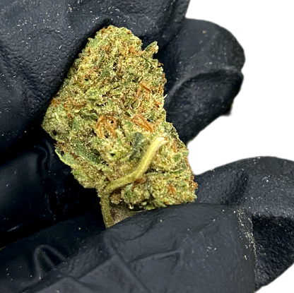 -LITTLE BUDS, QP CATALOG.. BULK HEMP FLOWER