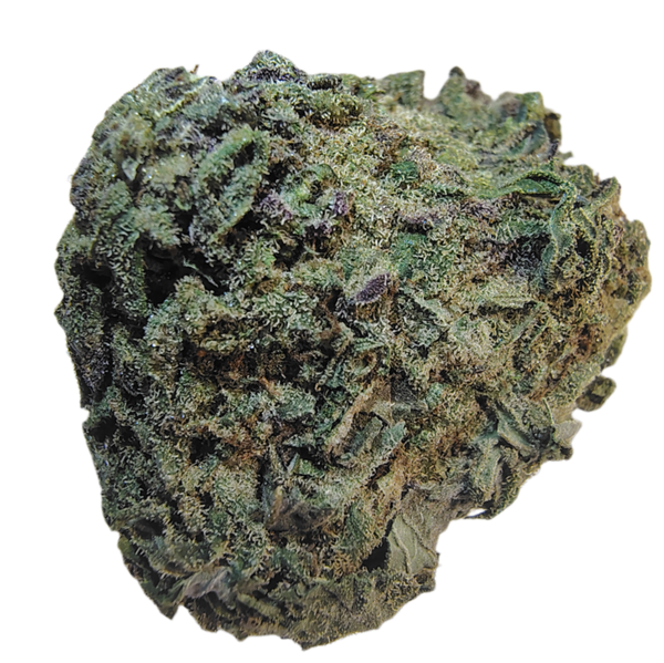 +A, Cherry Star •Hybrid, Rare Hemp Flower