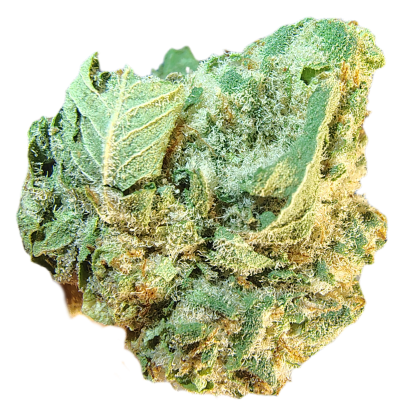 •White Indica •Hybrid 50/50, AZ Specialty Hemp Flower (Higher End +AA)
