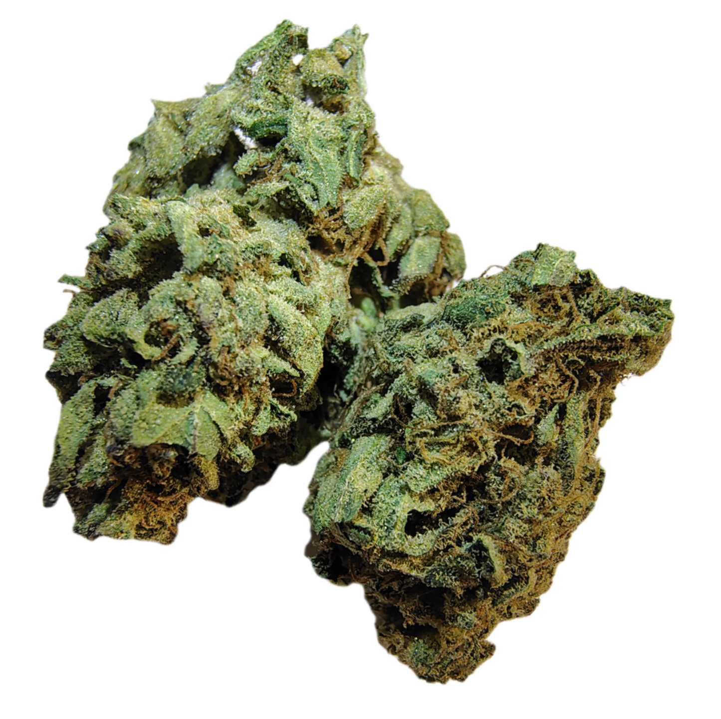 Maui Kush +A •Sativa, Classic Hemp Flower