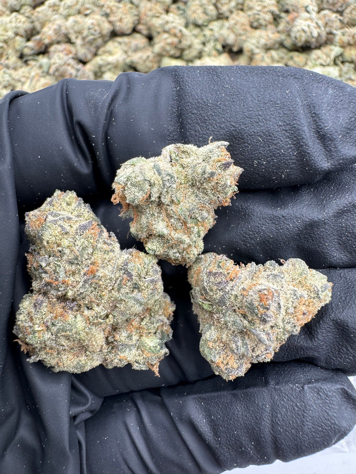 AAA, Little/Lil Hemp Flower Oz's