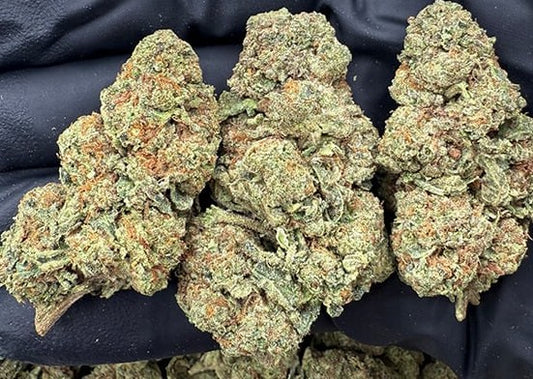 Gelato •Hybrid, Grade A Hemp Flower