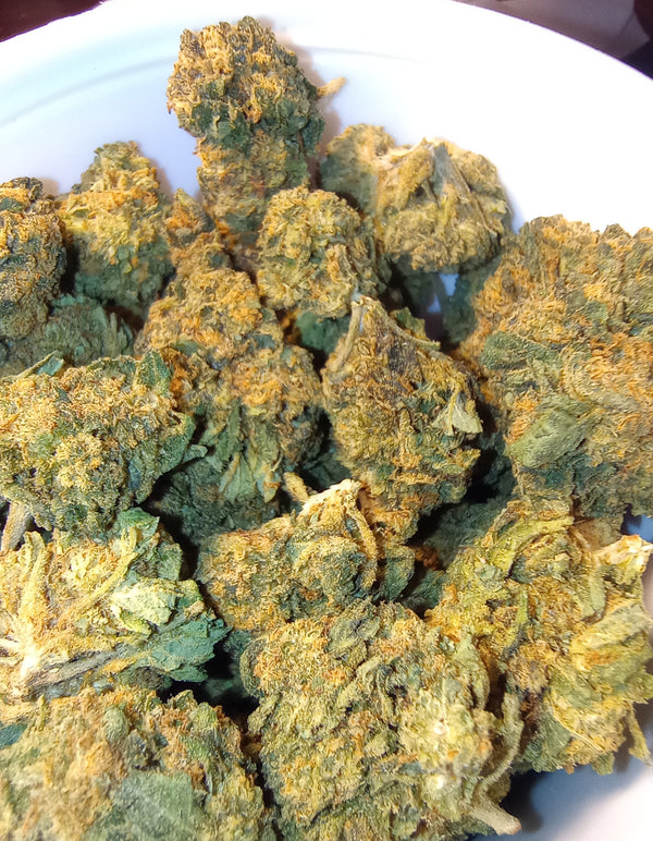 ++A •Hindu Kush •indica, Landrace Hemp Flower