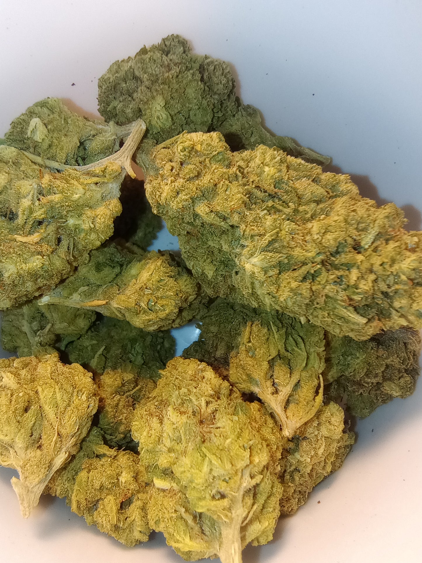 •Mexi •Sativa Dom, Landrace Hemp Flower