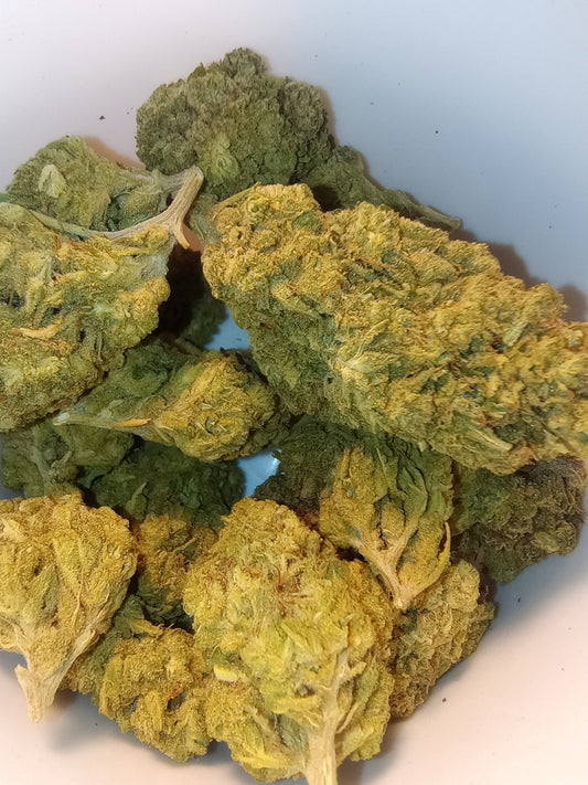 •Mexi •Sativa Dom, Landrace Hemp Flower