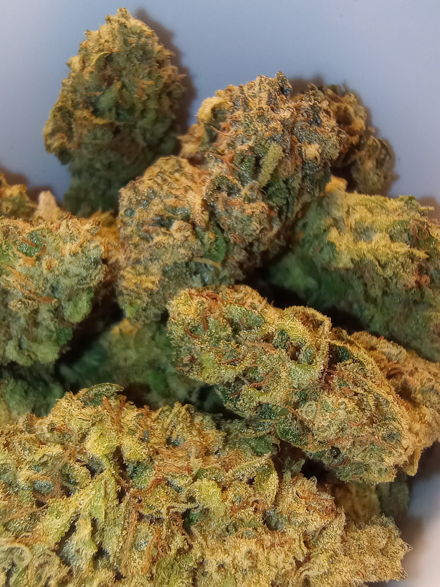•(New Tier Upgrade) Jet Fuel Gelato •Hybrid, Hemp Flower