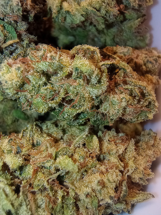 Jet Fuel Gelato •Hybrid, Hemp Flower
