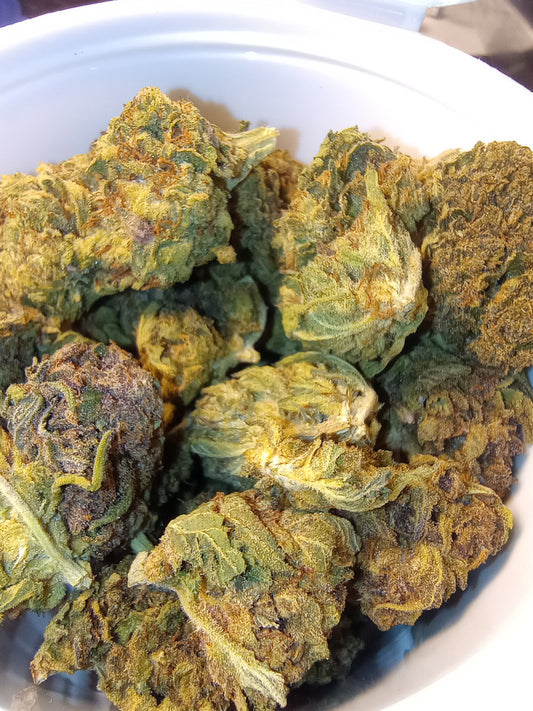 AZ, Tropical Haze •Hybrid, Rare Hemp Flower