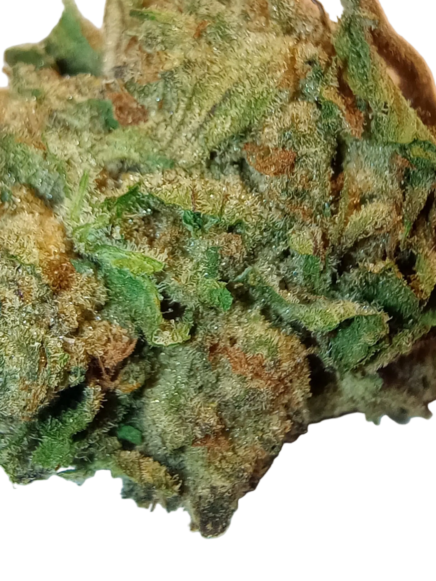 Kandy Kush ++A •Indica, Exotic Hemp Flower
