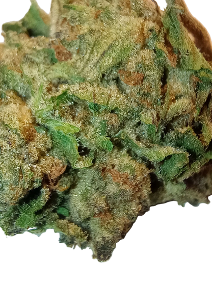 Kandy Kush ++A •Indica, Exotic Hemp Flower