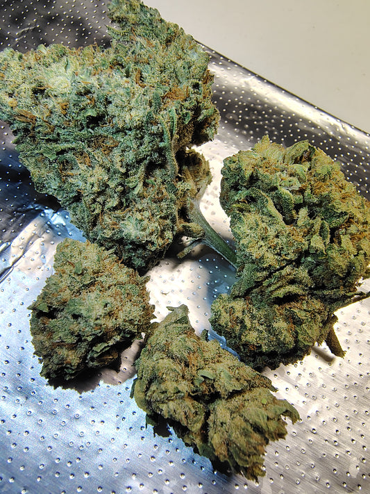 Zombie OG •Hybrid, Specialty Hemp Flower (Seeded)