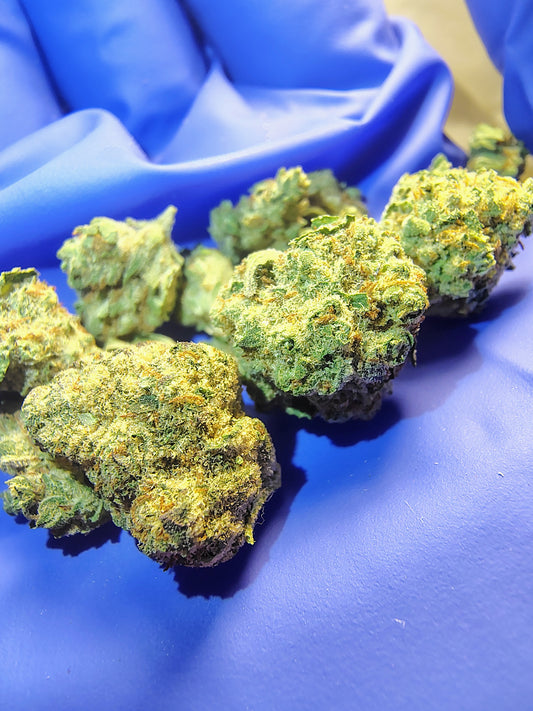 Chocolate Thai-Dye •Sativa, Landrace Crossed Hemp Flower (Little)
