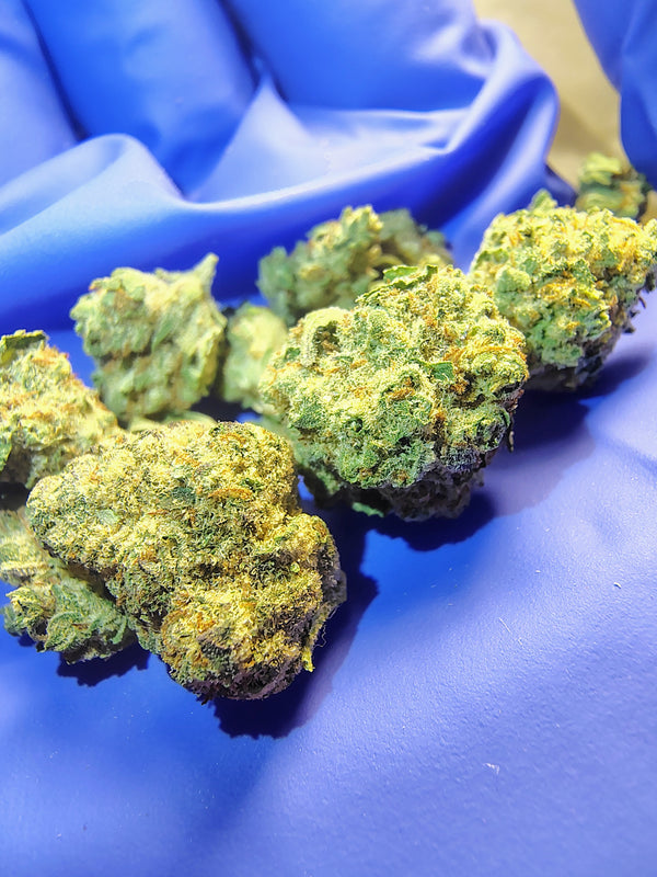 Chocolate Thai-Dye •Sativa, Landrace Crossed Hemp Flower (Little)