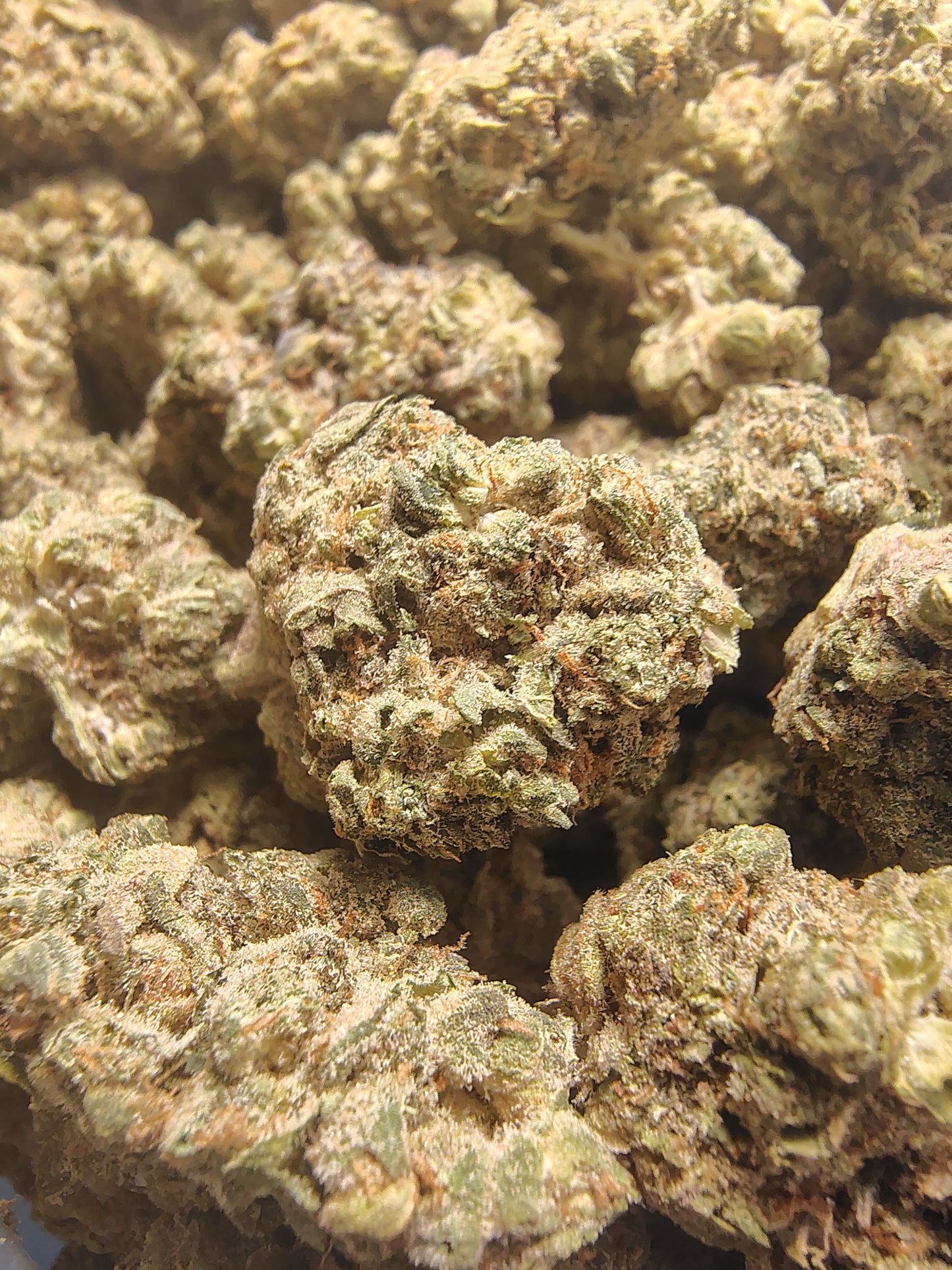 +A, Platinum Purple Hulk (Higher End) •Hybrid/Sativa, Classic Hemp Flower