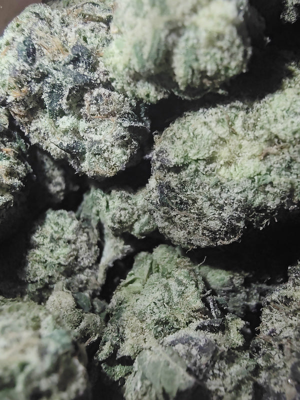 Little Seatown Lemon Haze •Sativa, Exotic Hemp Flower