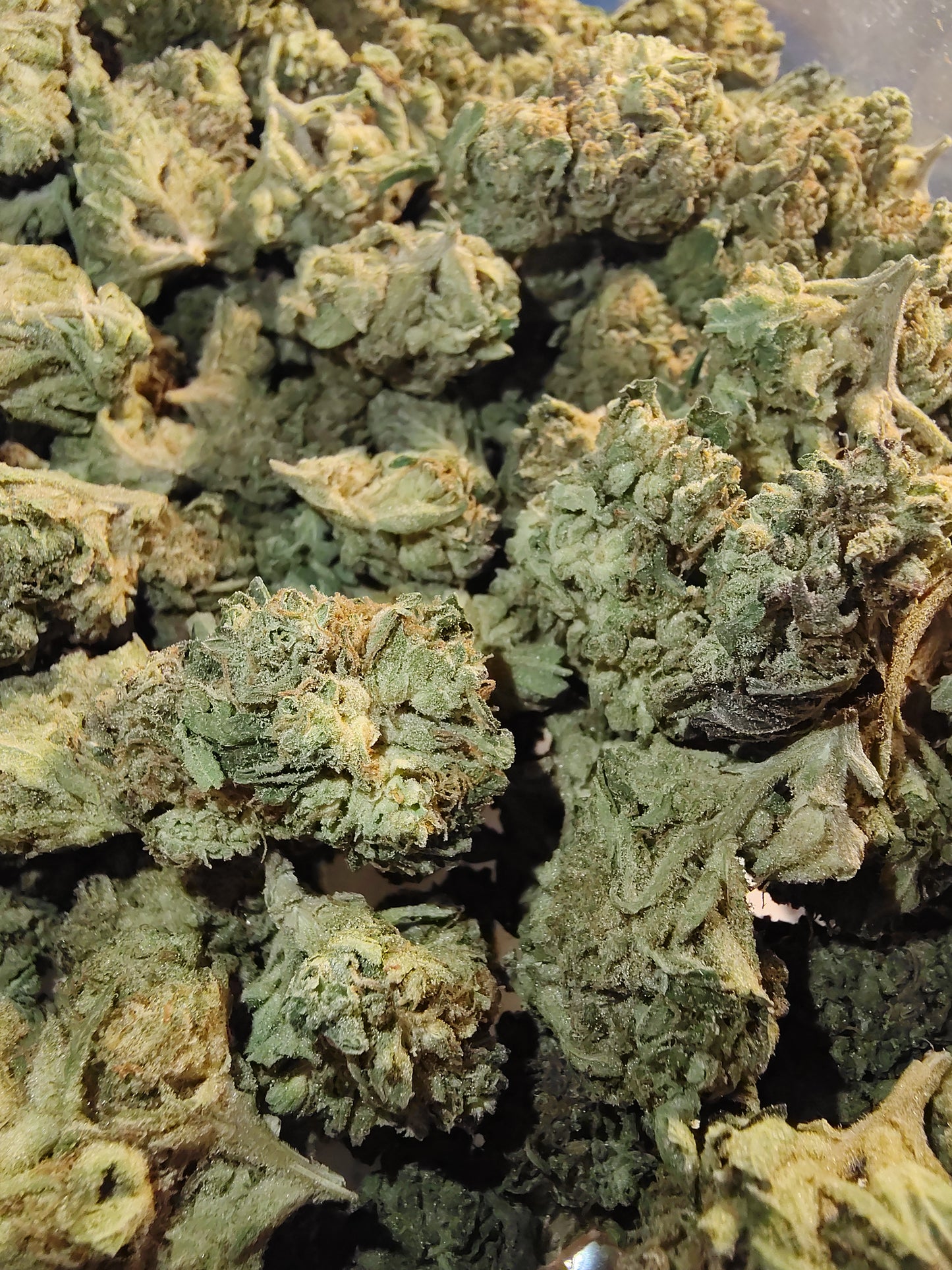 Maui Kush +A •Sativa, Classic Hemp Flower