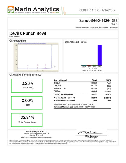 AA Little •Devil's Punch Bowl •Sativa/Hybrid, Potent Hemp Flower