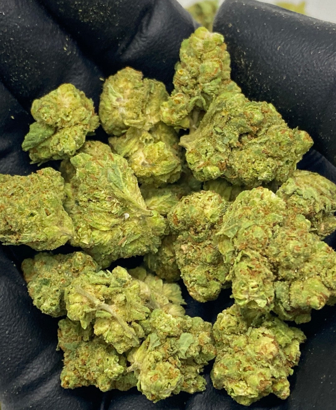 Grade +A Quarter lbs, Bulk Hemp Flower