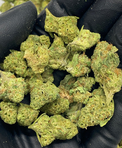 Grade +A Quarter lbs, Bulk Hemp Flower
