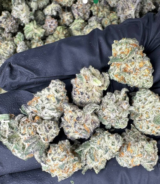 AAA Little •Chem de Menthe •Hybrid, Primo Hemp Flower